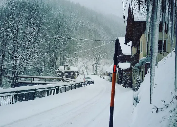Haslaustube Pensión Schwarzenbach an der Pielach