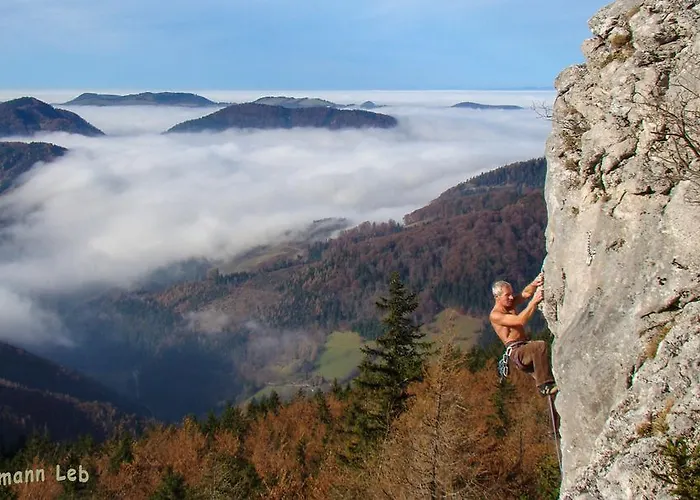 Haslaustube Pensión 3*